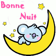 bonne nuit koala